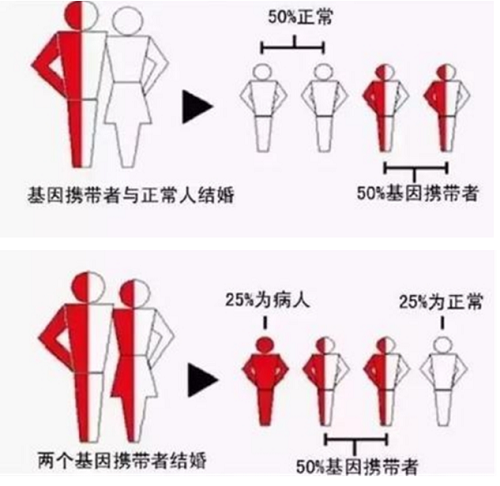 1694663307725057.png 图片1.png